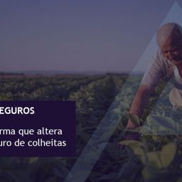 seguro colheitas